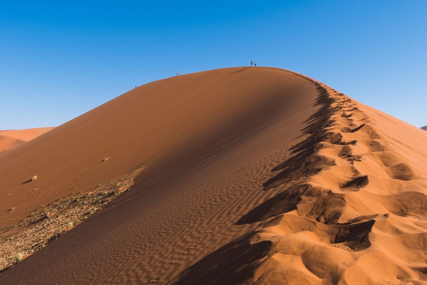 Moroccan Desert